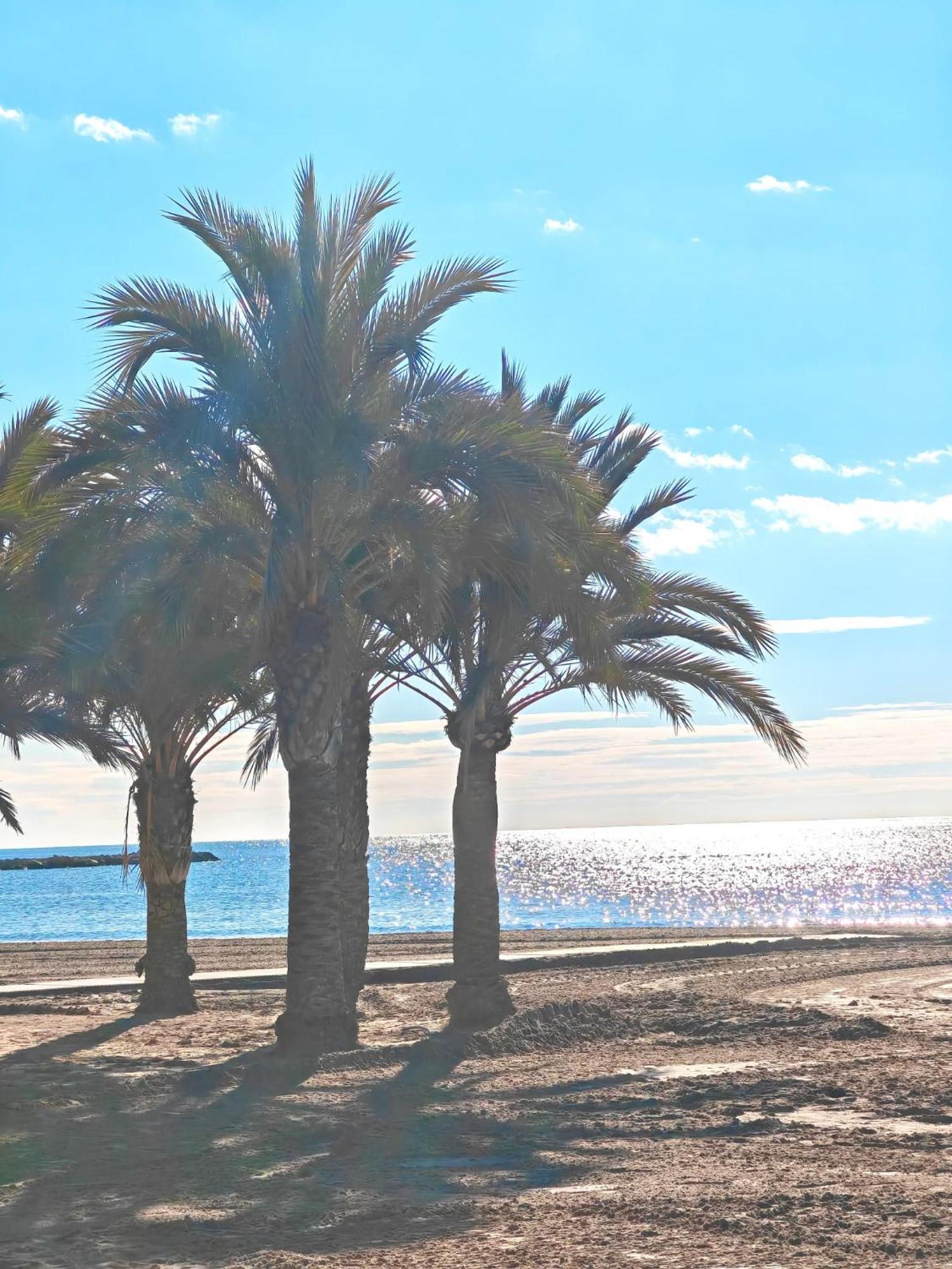 San Pedro Con Ascensor Y Playa Apartment